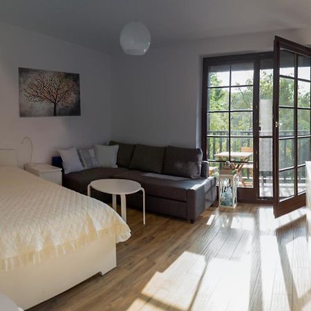 Apartament Kameralny 카지미에르즈 돌니 외부 사진