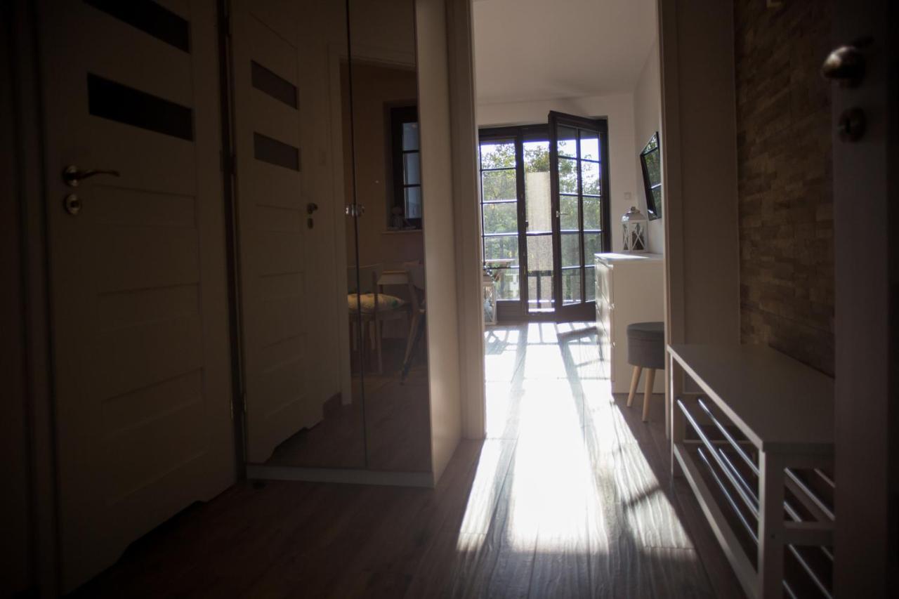 Apartament Kameralny 카지미에르즈 돌니 외부 사진